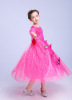 Autumn dress for princess, skirt, small princess costume, children's suit, long sleeve, tulle