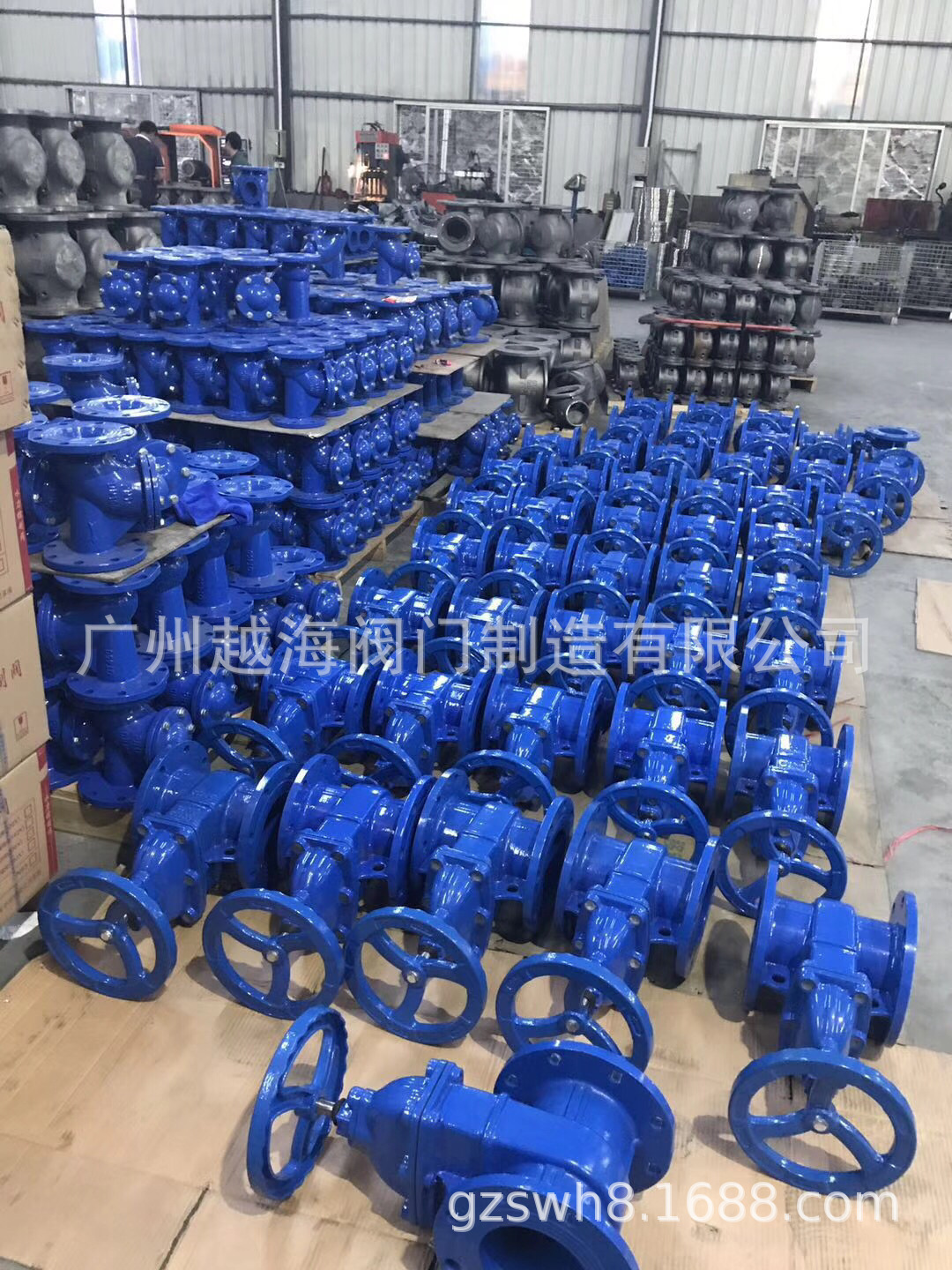 广州越海阀门闸阀  法兰不锈钢闸阀 法兰软密封闸阀 Z45X-16Q