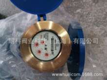 上海沪光水表 法兰冷水表液封水表LXS-100E  DN100