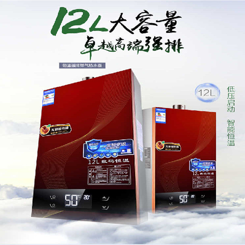 wholesale heater Gas household Natural gas constant temperature heater Super Hot OFC water tank