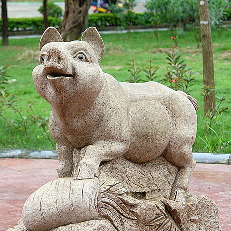 动物-小猪.jpg
