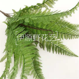 喷色加长特大把波斯草软胶手感蕨类植物墙配材仿真波斯蕨壁挂叶