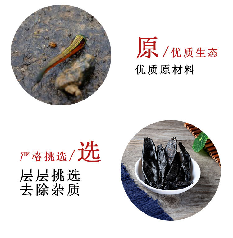 Shui Zhi (Hirudo / Leech) — Dried Clean-Water Leech, Hand-Selected Food Herb quality and texture