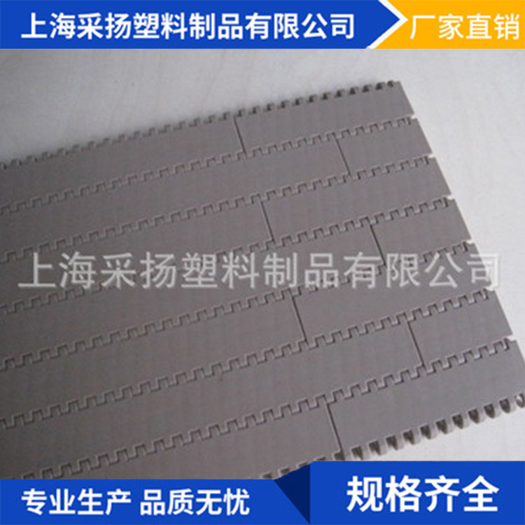 厂家 900平板型网带 塑料网带 平板型塑料网带
