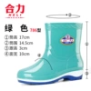 Light green single shoes