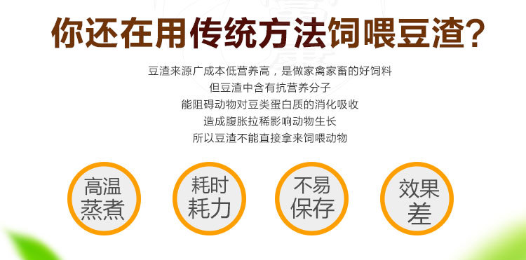 揭秘豆渣喂猪越喂越瘦的原因