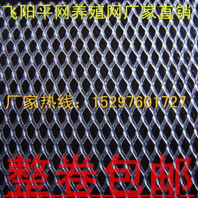 廠家加厚塑料平網養殖網育雛墊底網養雞鴨養蜂網圍欄網綠黑色膠網