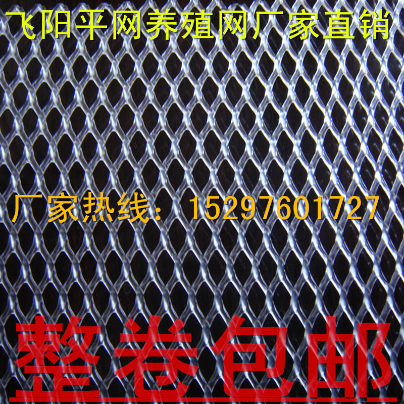 廠家加厚塑料平網養殖網育雛墊底網養雞鴨養蜂網圍欄網綠黑色膠網