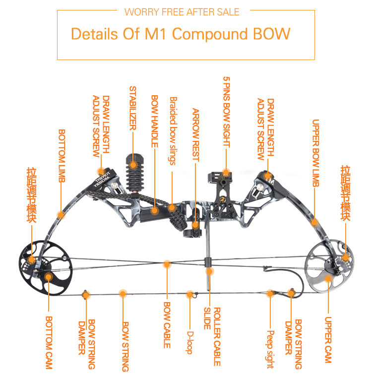 M1-_11.jpg