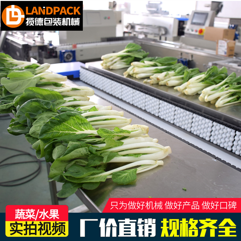 超市蔬菜保鲜包装机 厂家直销枕式伺服包装机上海蔬菜水果打包机