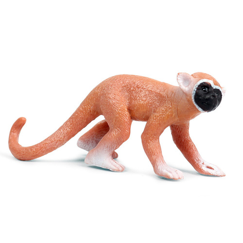 Children's cognitive plastic toy solid simulation wild animal model mini squirrel monkey zoo monkey model