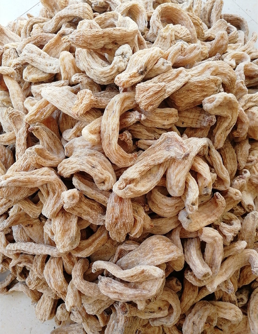 微信图片_20180625125354