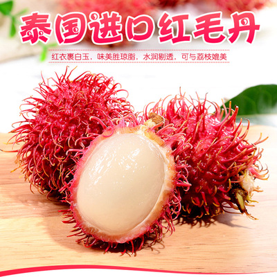 [Fresh fruit]fresh fruit Vietnam Rambutan Sweet Litchi wholesale One piece On behalf of