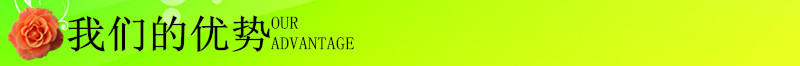 我们的优势