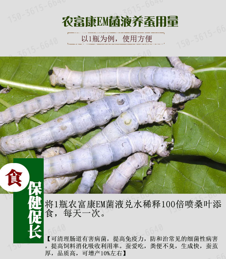 em菌液养蚕什么用量