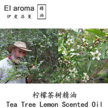 澳洲檸檬茶樹精油 Tea Tree Lemon 檸檬細籽單方精油 10ML起訂