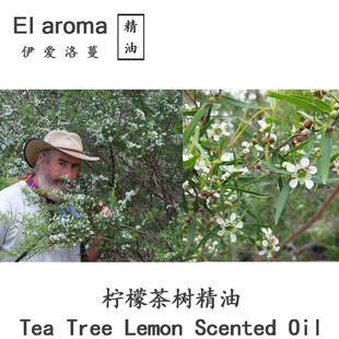 ���ޙ��ʲ�侫�� Tea Tree Lemon ���ʼ��цη����� 10ML��ӆ