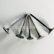 �����ֻ���Ӧ��������������  ������242199 ������242253