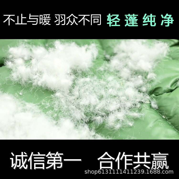 9036880749_980119599