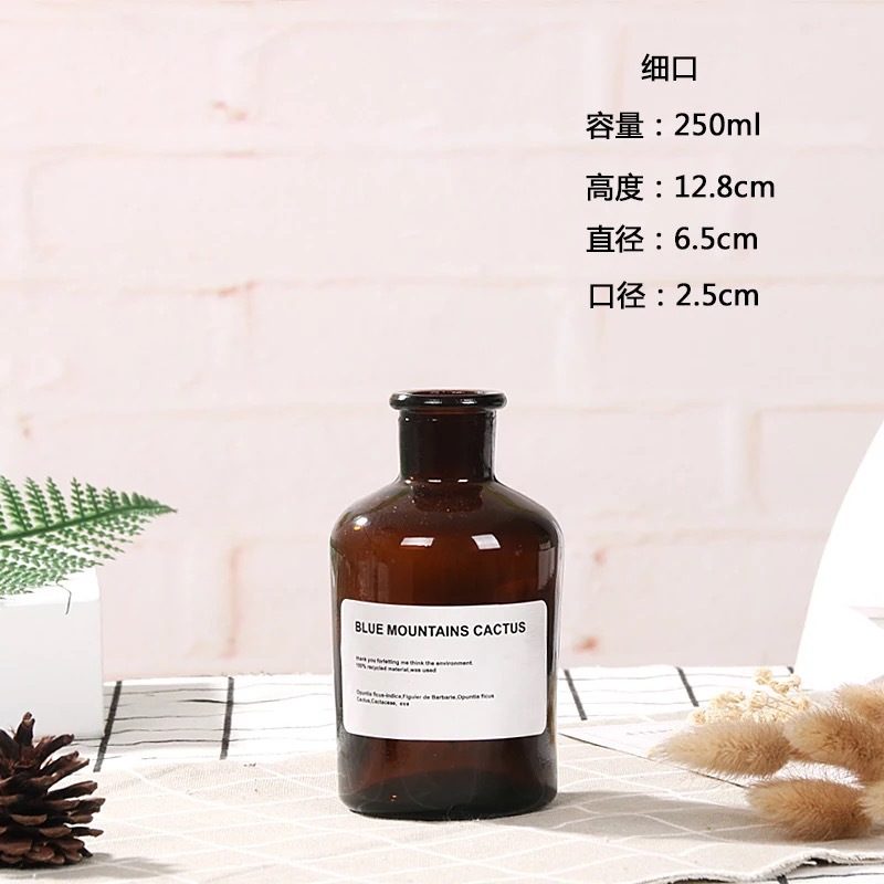 Botella de deseos luminosa botella de vidrio creativa qixi amante graduación regalo Navidad LED deriva botella estrella