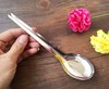 Spoon stainless steel, wholesale, increased thickness