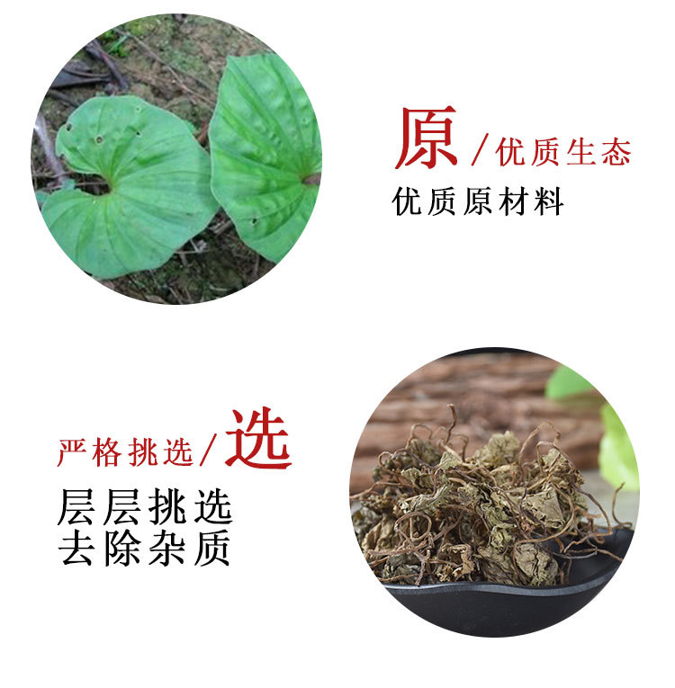 Qing Tian Kui (Nervilia fordii) — Dried Food Herb, 500g Bulk Loose Leaf key features