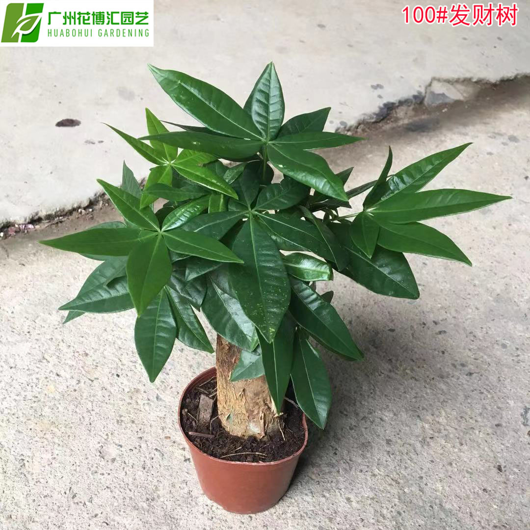 微信图片_20181209125040