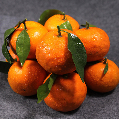 特甜广西沃柑新鲜水果当季现摘6斤10斤孕妇水果礼盒装|ms