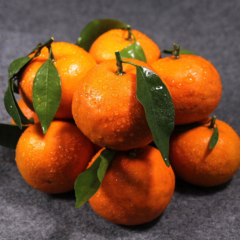 特甜广西沃柑新鲜水果当季现摘6斤10斤孕妇水果礼盒装|ms
