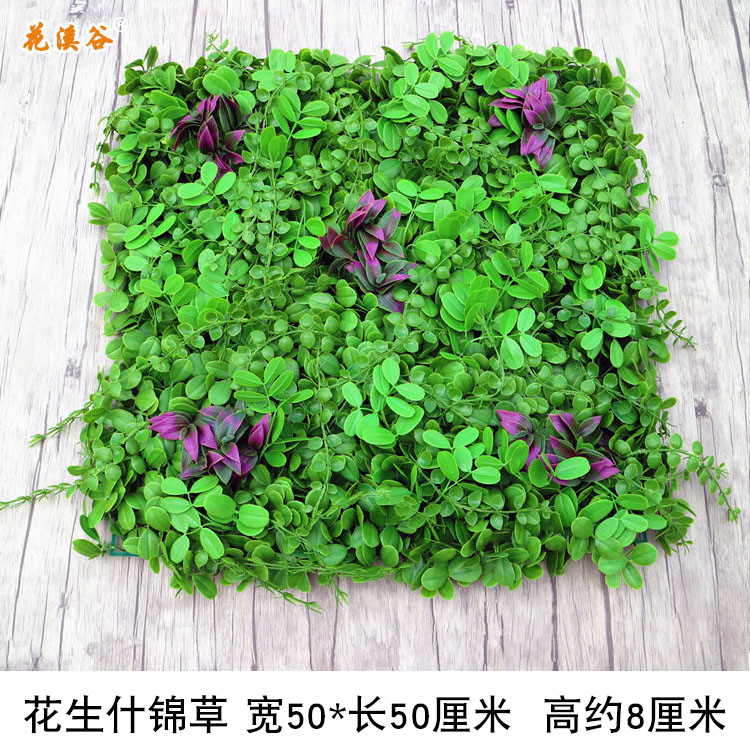 花生什锦草50厘米