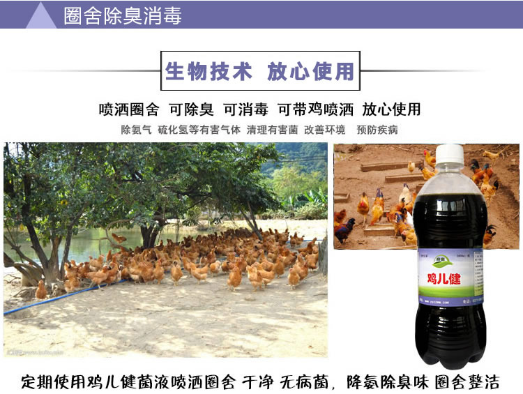 启富鸡儿健益生菌养殖鸡