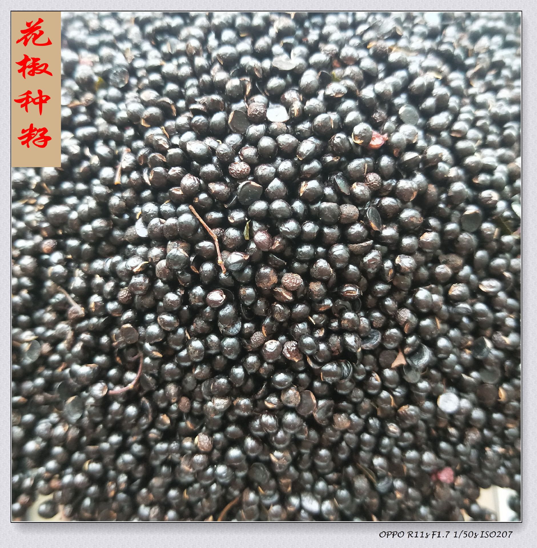 花椒子 花椒籽 一等陇南大红袍花椒种籽 喂鸽子 喂鸡武都花椒种子|ru