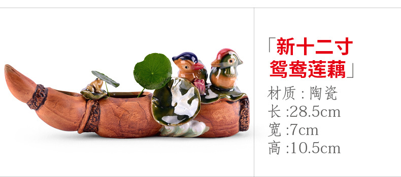 xq271 新十二寸鸳鸯莲藕.jpg