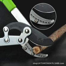 �S�ҹ�����ɭ���������^��֦����s��֦ʡ���� ��֦�� ����ʿ