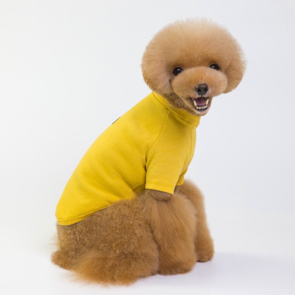 i2 XifKkz9SEOZkhuDrmzU7ITV6PujTI551A