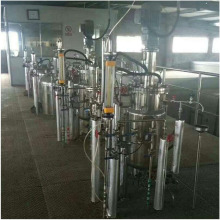 �����z�����z���P䓷����� ���ֶ๦��늼ӟᷴ��������1��������