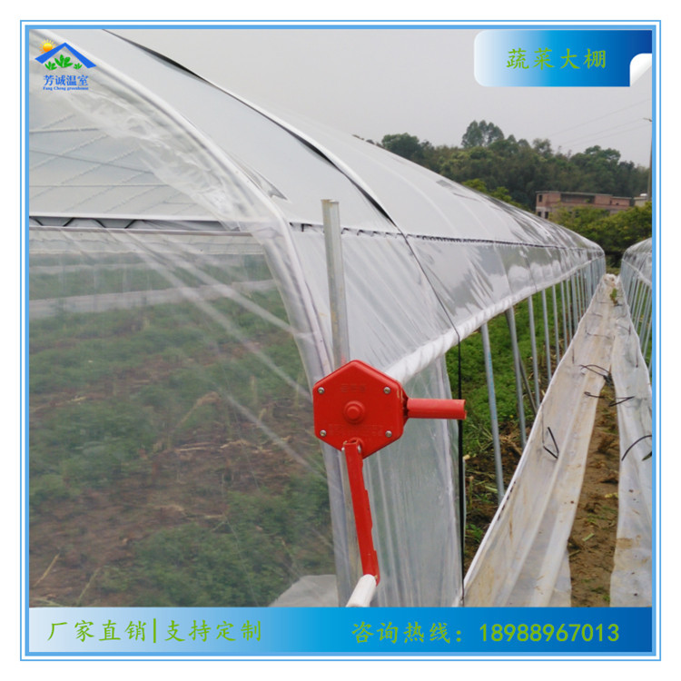 蔬菜大棚（单栋4）