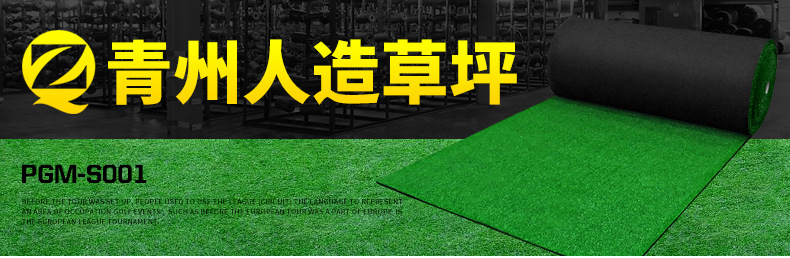 TB2rFP2b9XlpuFjy0FeXXcJbFXa_!!