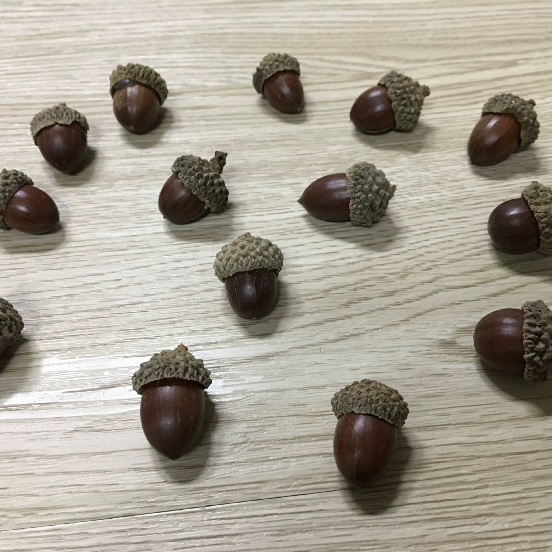 Желудь оболочка желудя желудь шляпа цветочный магазин цветочные гирлянды аксессуары Рождественский фестиваль украшения