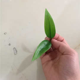 仿真植物仿真花叶布料两叉过胶竹叶壁挂藤条把束装饰编织袋布料批