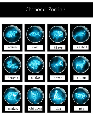 夜光黑色十二生肖手鏈時光寶石手鏈搭扣朋克情侶編織複古手鏈批發