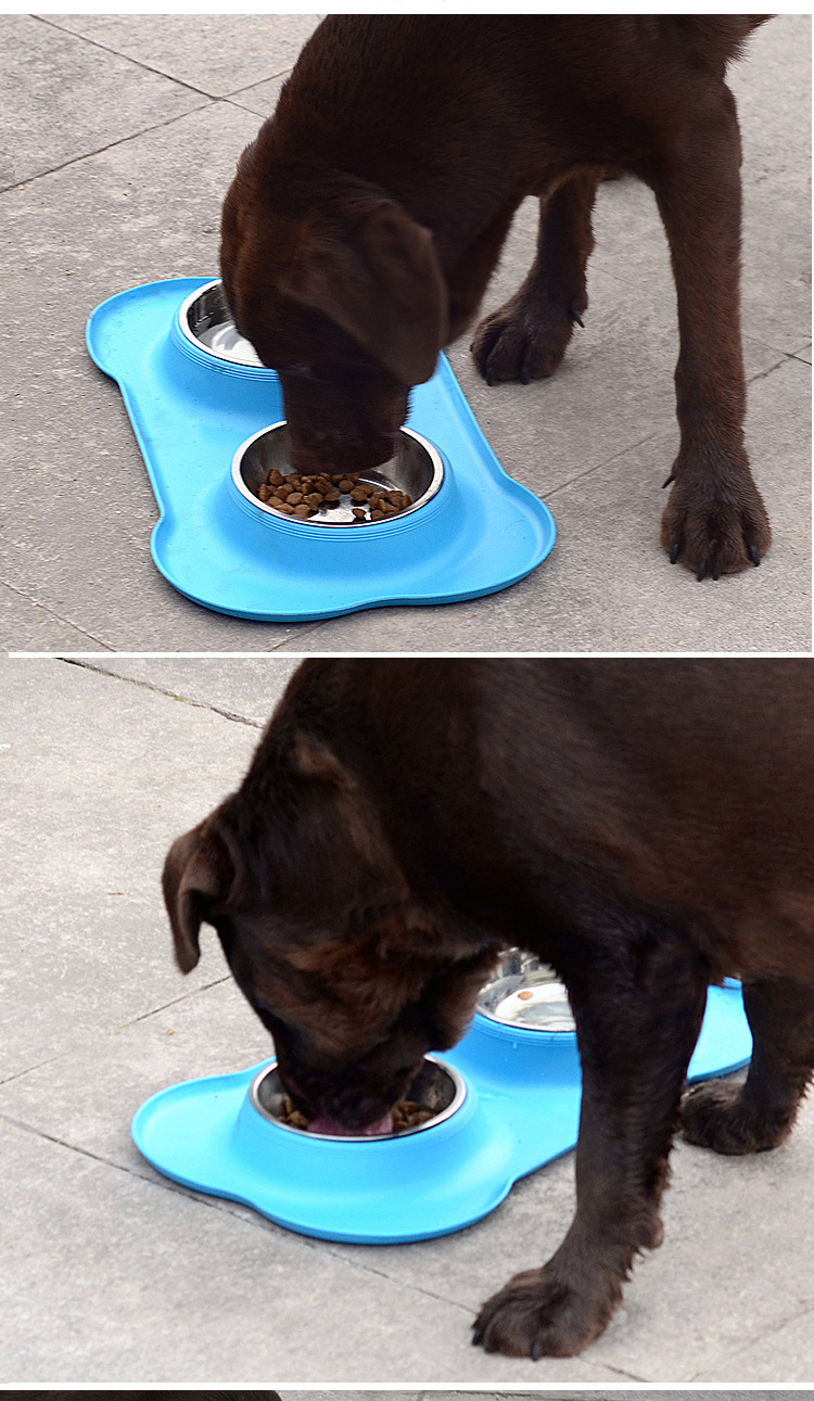 Double Dog Cat Bowls