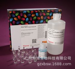 23227 500T  BCA试剂盒