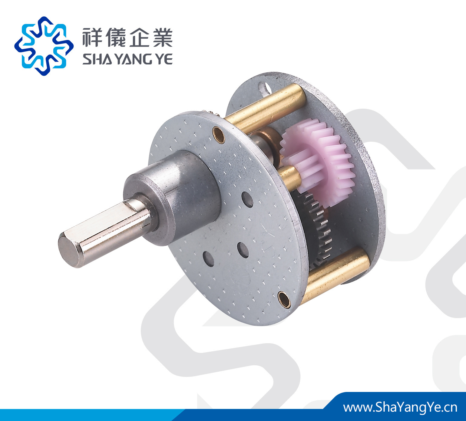 直徑35mm正齿轮 减速箱 微型减速机专用 SHAYANGYE 齿轮箱 RB35P