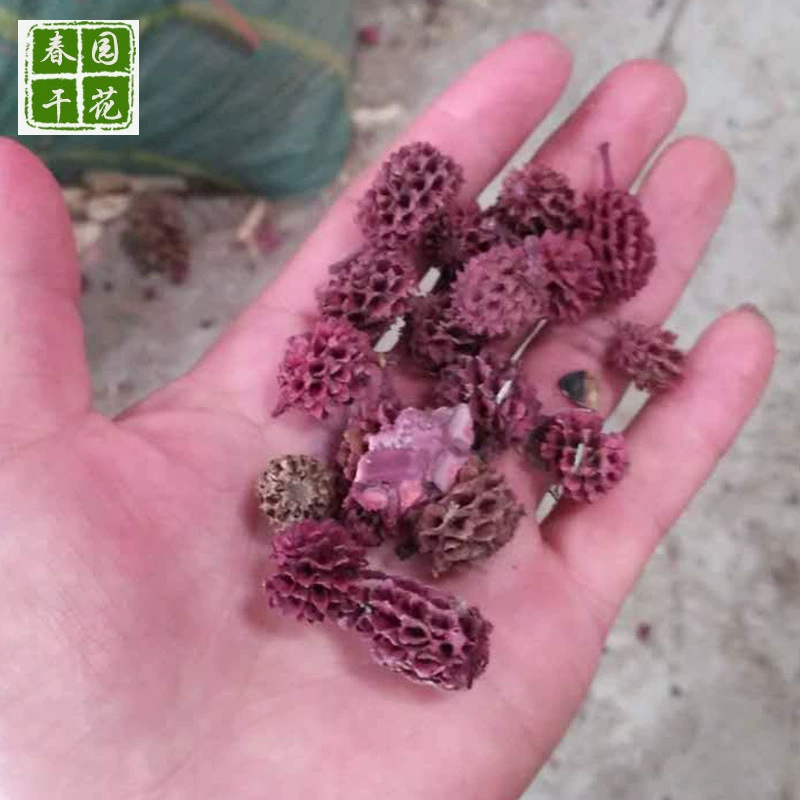 [木麻黄果实马尾小松果 干花diy材料包花材摆件真永生花束干花批发]