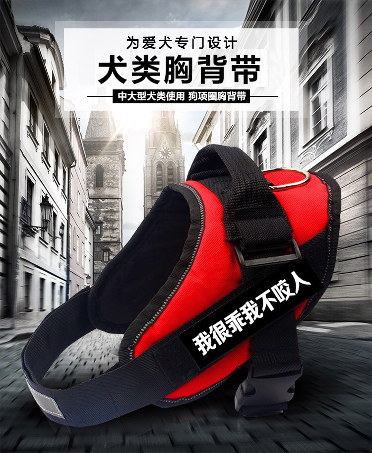 狗狗背心式胸背带遛狗牵引绳金毛阿拉斯加法斗中大型犬狗链子用品