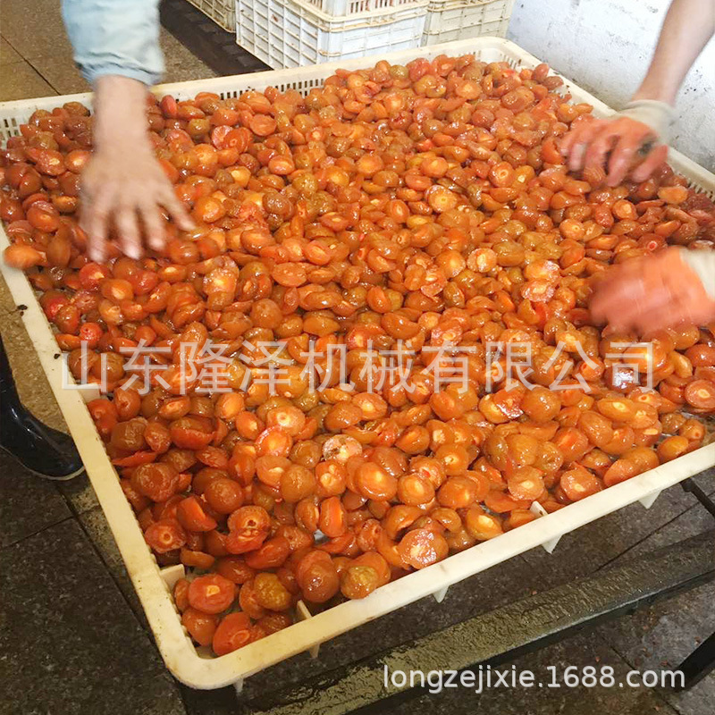 果脯快速吃糖设备  浸糖蜜饯生产工艺 大型全自动糖渍浸糖锅