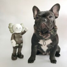 �����˸糱�ƽ��؇��������������ļ����������������ｵ������