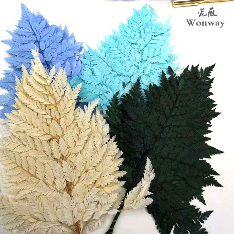 微信图片_20181129155746