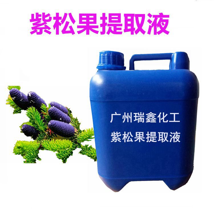 供应紫松果提取液 植物提取液 紫松果萃取液 紫松果提取物
